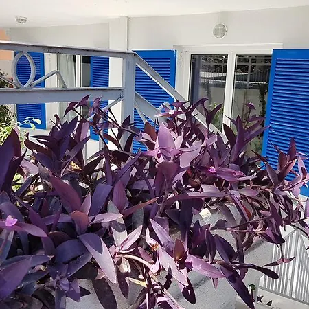 公寓 Rhodos-lindos 42 *